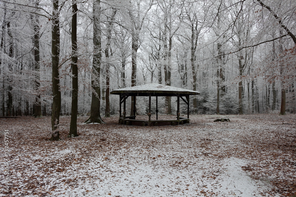 pavilion in the winter forest
