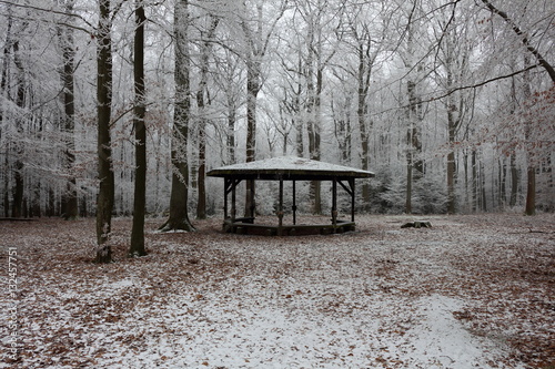pavilion in the winter forest