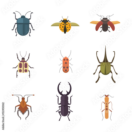 Set of insects flat style vector design icons. Collection nature beetle and zoology cartoon illustration © denis08131