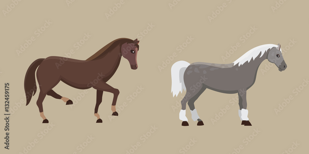 Obraz premium Cute horses in various poses vector design. Cartoon farm wild isolated horse and different silhouette of flat pony