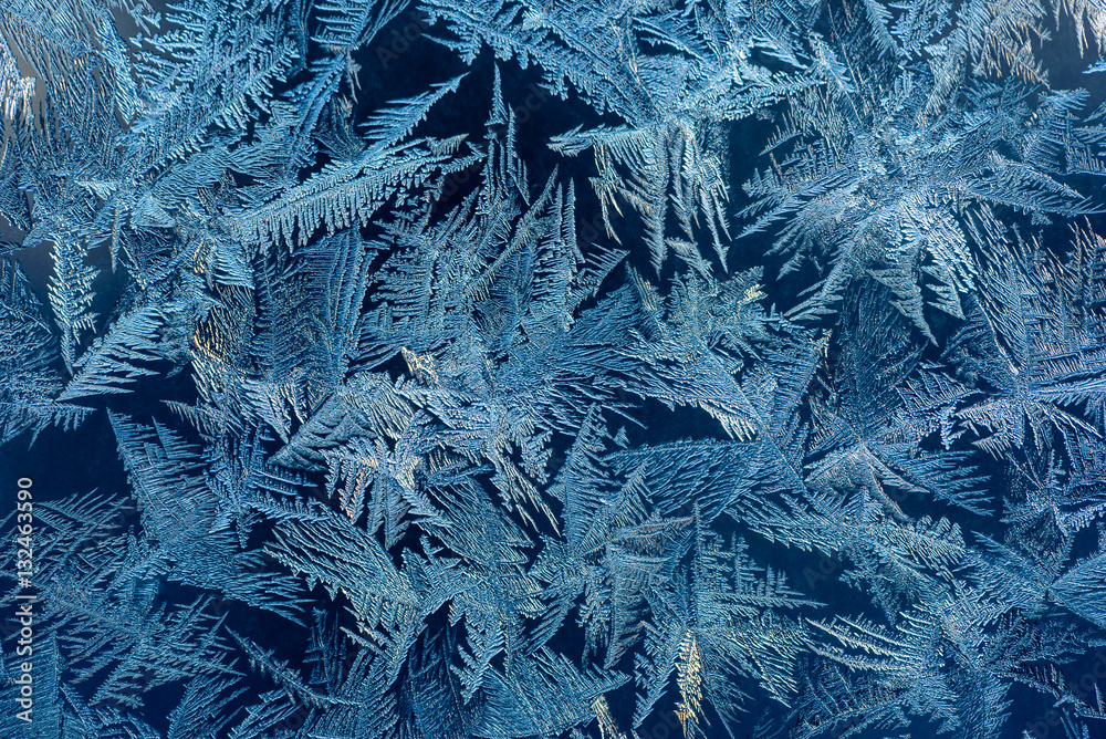 Obraz Hoarfrost in winter