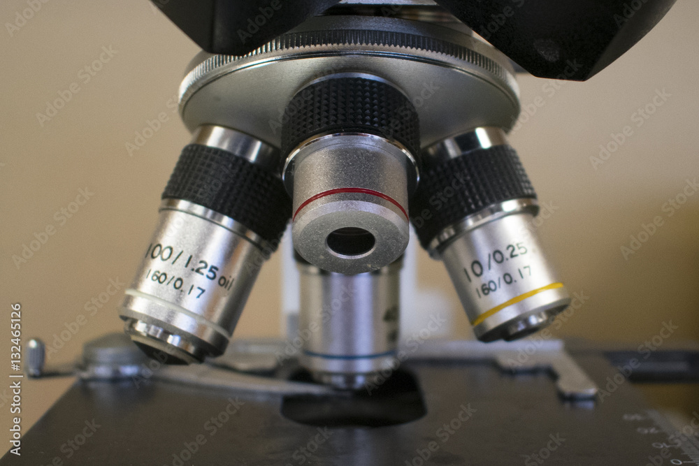 Microscope Portrait Microscope Portrait