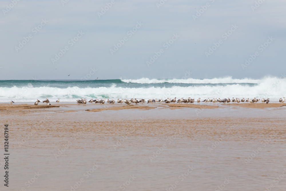 atlantic coastline with surfes in cloudy day atlantic coastline with surfes in cloudy day