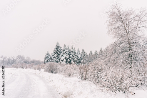 Winter snowy landscape in Montreal, Quebec (Botanical Garden) © mbruxelle
