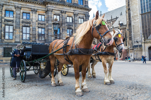 The horses carriage in Amsterdam © Sergii Figurnyi