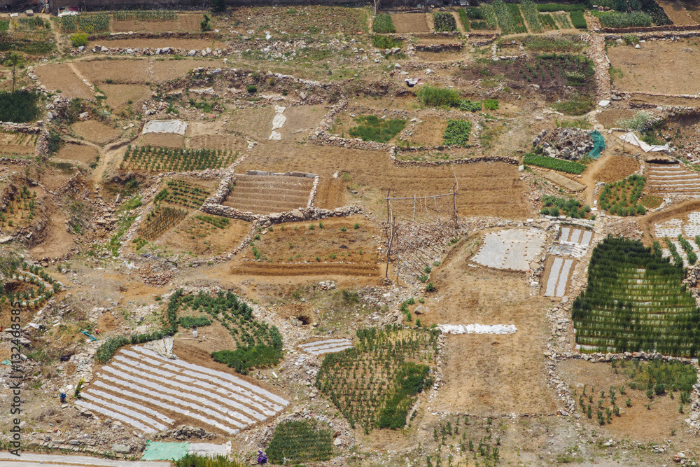 China city development