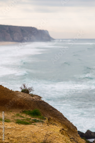 coastline with stones, plants and surfs in cloudy day