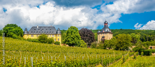 Schloss Vollrads, Rheingau, 