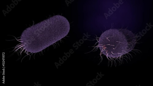 Salmonella typhi bacterium. 3d bacteria model of typhoid fever. Similar to e.coli
 photo