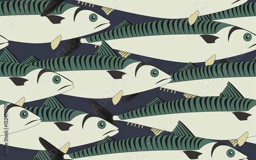 Seamless pattern mackerel close up, vector