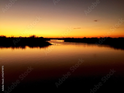 Swamp sunset © Roz