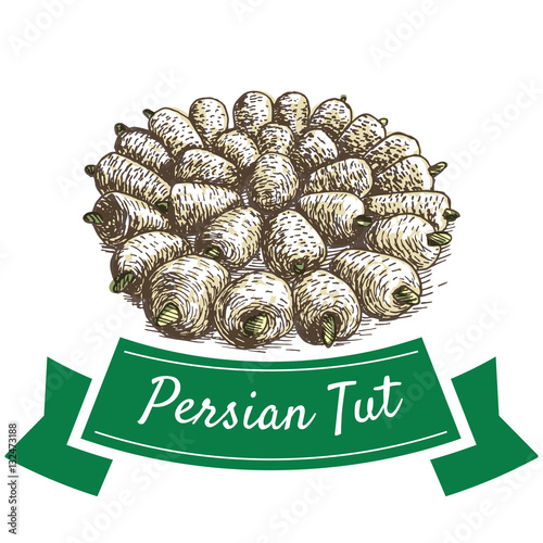 Persian Tut colorful illustration.