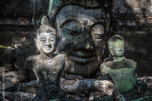 Ancienne statue bouddhiste  t  te de Bouddha  relique et vestige bouddhistes  Wat Umong  Chiang Mai  Thailande