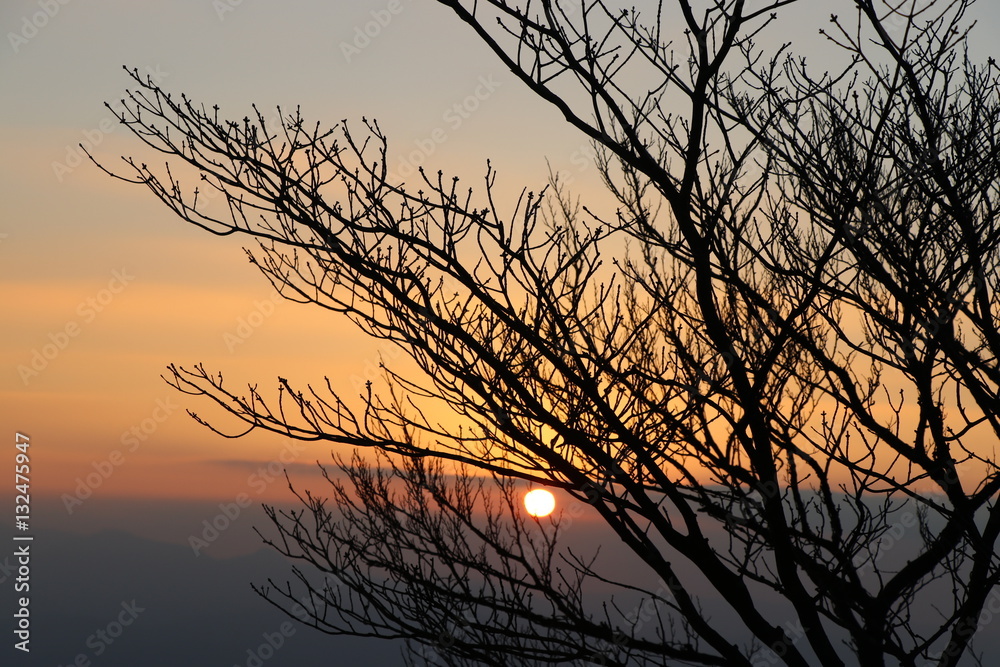 Fototapeta premium 福岡県太宰府市 宝満山頂上からの初日の出