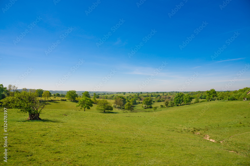 Spring Summer Rural landscape with a forest and a fileld in Fran Spring Summer Rural landscape with a forest and a fileld in Fran