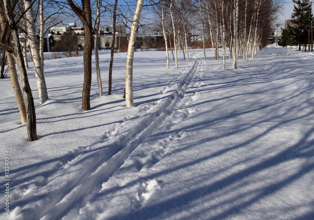 Obraz premium Sapporo snow walking, ski walking trail