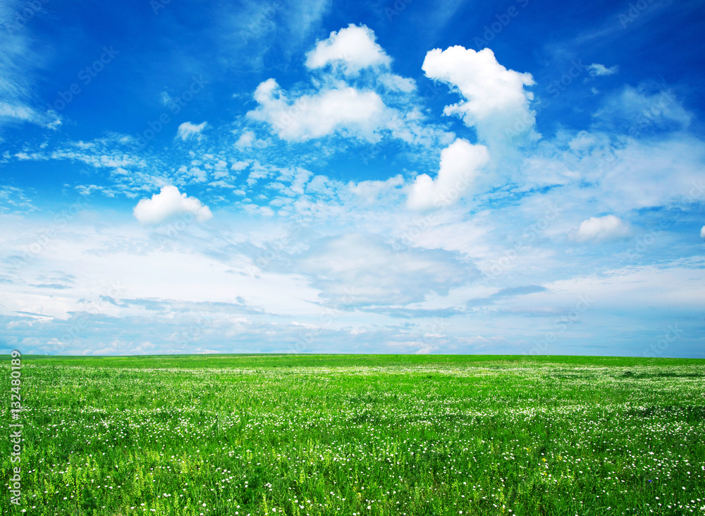 field field