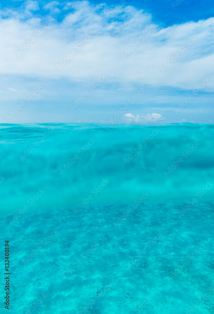 Tranquil underwater scene with copy space Tranquil underwater scene with copy space