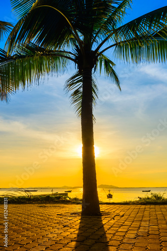 Coconut tree on beach with warm light and sunset background