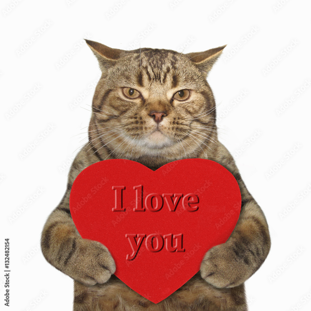 Cat Love You