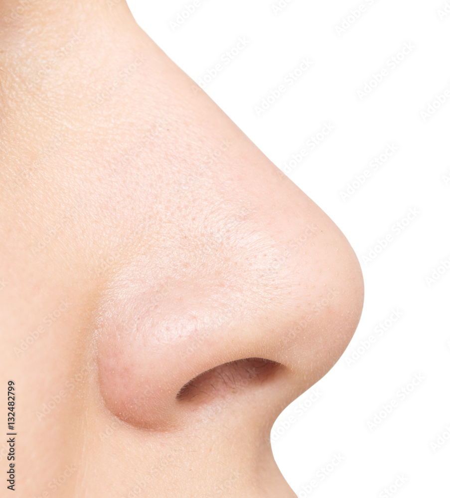 Naklejka premium nos na białym tle