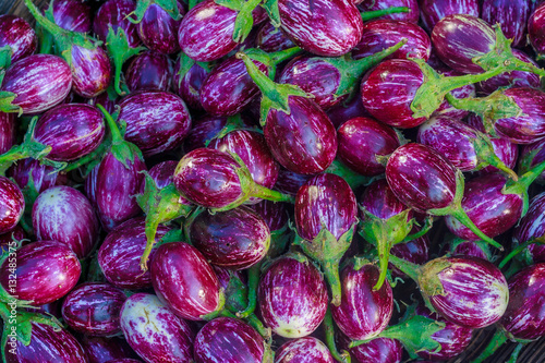 Eggplant background