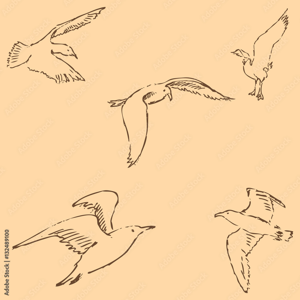 Naklejka premium Seagulls sketch. Pencil drawing by hand. Figure in vintage style. Vector