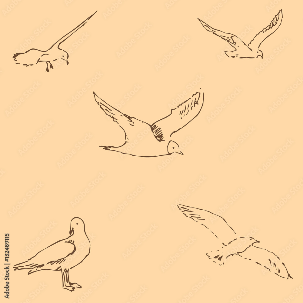 Seagulls sketch. Pencil drawing by hand. Figure in vintage style. Vector Seagulls sketch. Pencil drawing by hand. Figure in vintage style. Vector