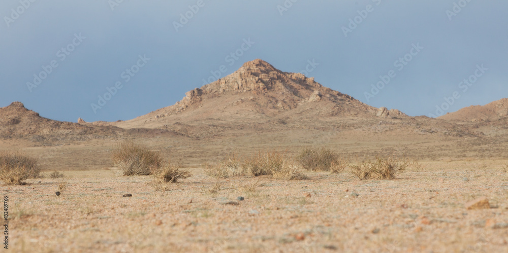 Typical Mongolian landscape