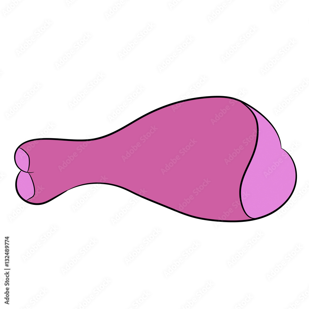 raw chicken leg on white background of vector illustrations raw chicken leg on white background of vector illustrations