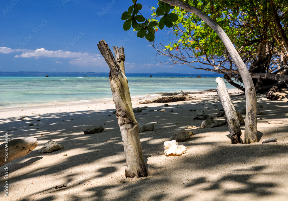 Stunning view of Elephant Beach on Havelock Island. A beautiful tree logs and shell on the beach. Havelock Island is a beautiful small island belonging to the Indian Andaman & Nicobar Islands. Stunning view of Elephant Beach on Havelock Island. A beautiful tree logs and shell on the beach. Havelock Island is a beautiful small island belonging to the Indian Andaman & Nicobar Islands.