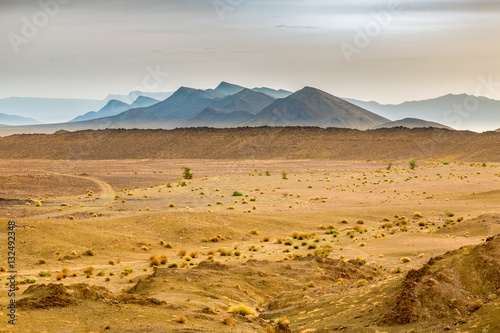 Typical landscape of southern Morocco.