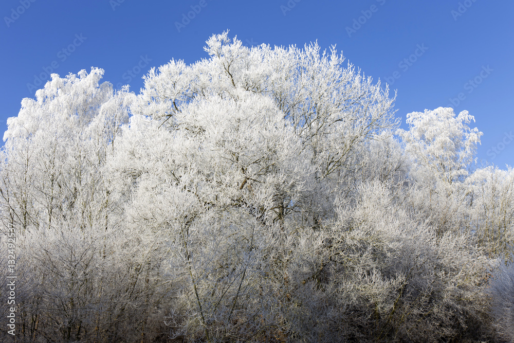 Beautiful fairytale snowy winter countryside with blue Sky in Central Bohemia, Czech Republic Beautiful fairytale snowy winter countryside with blue Sky in Central Bohemia, Czech Republic