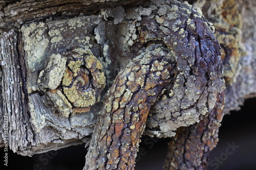 Oxidation 1