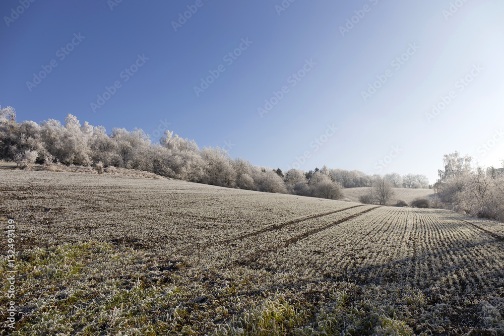 Obraz premium Beautiful fairytale snowy winter countryside with blue Sky in Central Bohemia, Czech Republic