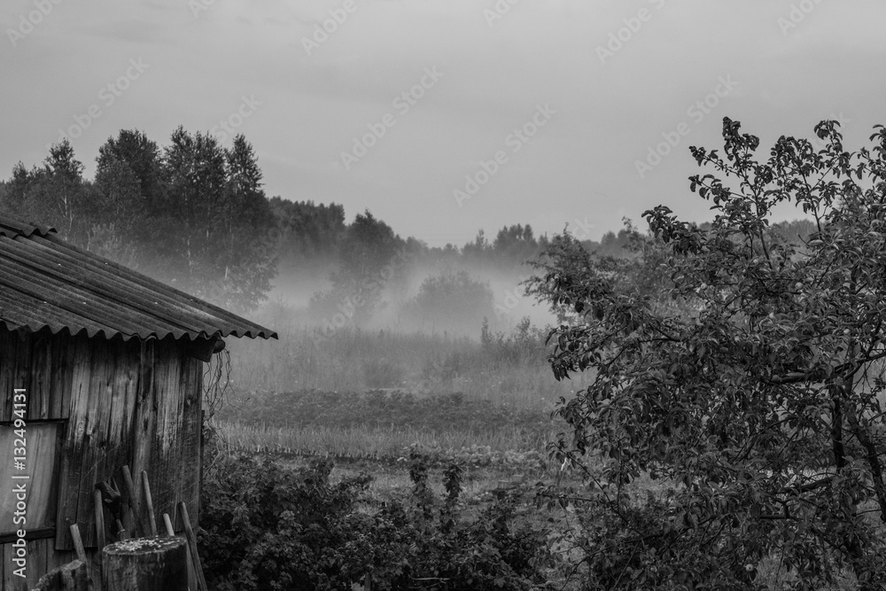 Fog under meadow rural landscape Russia