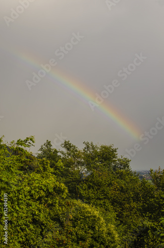 Fototapeta Naklejka Na Ścianę i Meble -  view of a piece of rainbow over a green forest