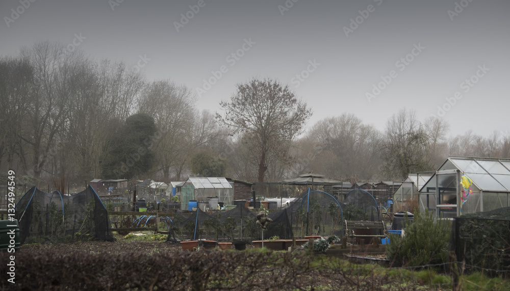 allotments in winter allotments in winter