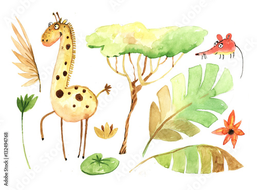 giraffe, jungle, a set of drawings, watercolors