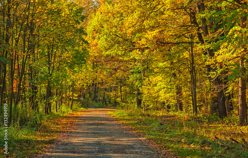 Nice autumnal scene