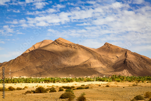 Typical landscape of southern Morocco.