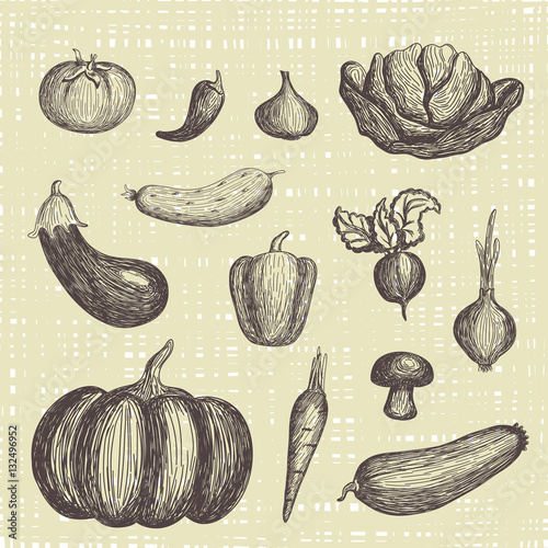 Hand drawn vegetables set