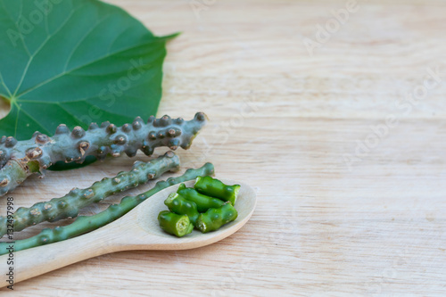 Tinospora crispa,heart leaved moonseed on wooden board with space for texture photo