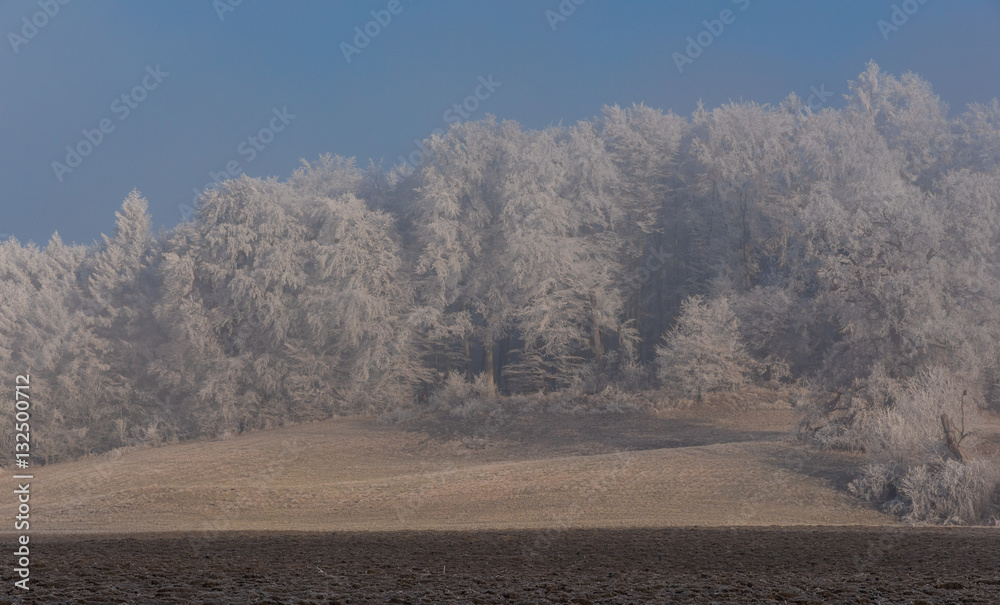 Winter Landschaft Winter Landschaft