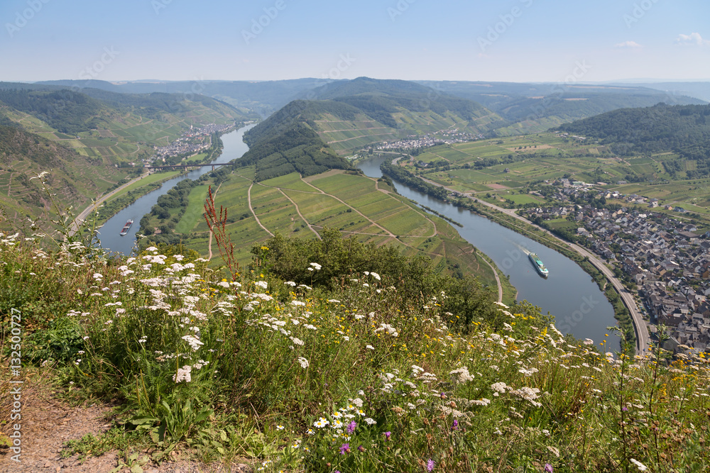 River Moselle near Zell and Punderich in Germany