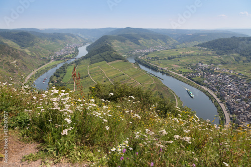 River Moselle near Zell and Punderich in Germany