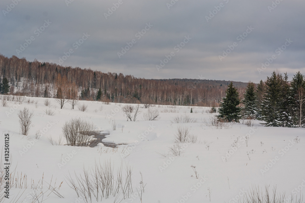 The wood in snow in the winter The wood in snow in the winter