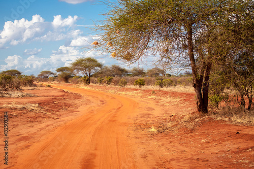 Red road in the savannah of Kenya with a big tree, baobab, with a blue sky and clouds