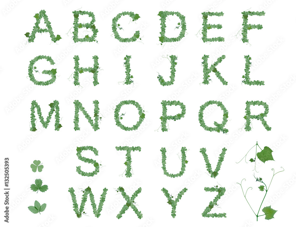 Alphabet letters ABC from the leaves in Patricks day or spring and summer style. Alphabet set with letters from strawberry, grape and clover leaves. Green font isolated on white background Alphabet letters ABC from the leaves in Patricks day or spring and summer style. Alphabet set with letters from strawberry, grape and clover leaves. Green font isolated on white background