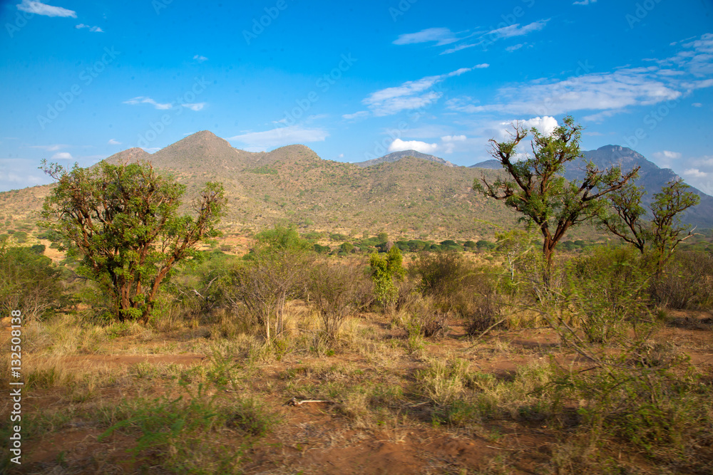 Landscape from Kenya, hills and trees with a blue sky